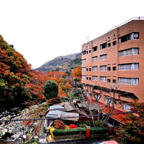 Hotel Okuyumoto Χακόνε Εξωτερικό φωτογραφία